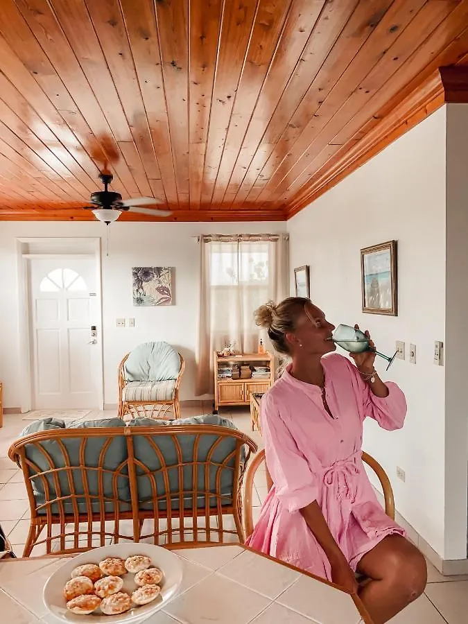 Nyaraló Tropical View Villas Hartswell