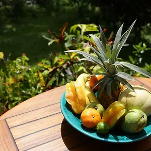 Appartement Le Talisman, Goyave