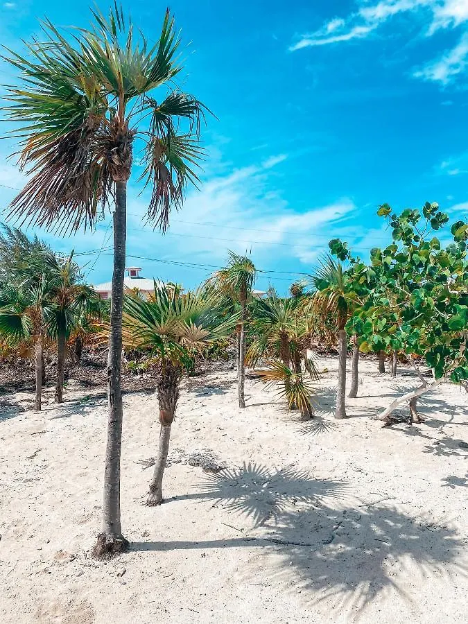 Tropical View Villas Hartswell Hébergement de vacances